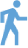 Walk Icon
